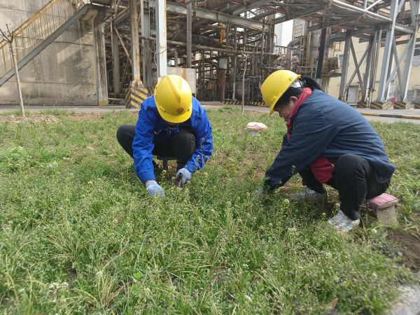 3月22日，行政保衛(wèi)部馬師傅和孫師傅在道路兩旁清除雜草。.jpg
