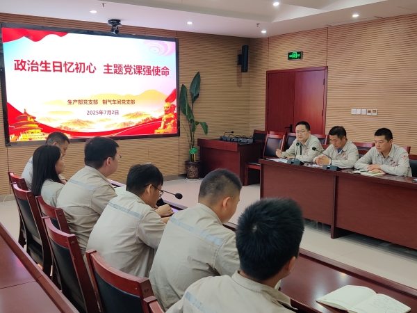 7月2日，主題黨日活動(dòng)現(xiàn)場照片.jpg