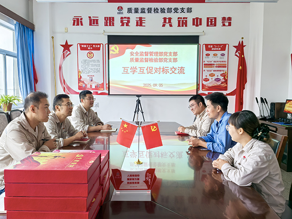 9.5日，安全監(jiān)督管理部黨支部與質(zhì)量監(jiān)督檢驗部黨支部對標(biāo)交流學(xué)習(xí).jpg